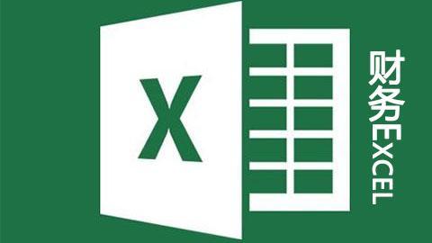 财务Excel  vip课程辅导
